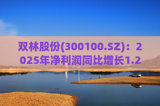 双林股份(300100.SZ):2025年净利润同比增长1.25% 拟10股派1元 第1张 双林股份(300100.SZ):2025年净利润同比增长1.25% 拟10股派1元 第1张