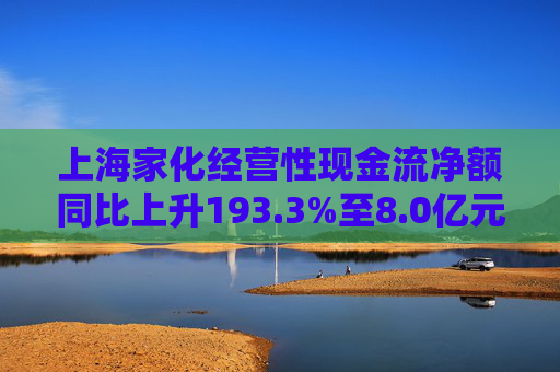 上海家化经营性现金流净额同比上升193.3%至8.0亿元  第1张