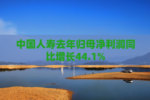中国人寿去年归母净利润同比增长44.1%
