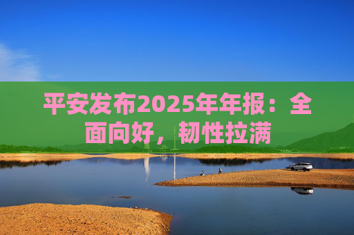 平安发布2025年年报：全面向好，韧性拉满