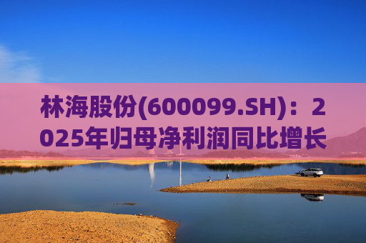 林海股份(600099.SH)：2025年归母净利润同比增长33.24%，每股拟派利0.045元