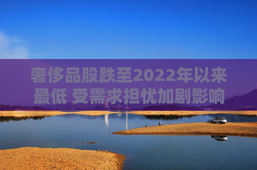 奢侈品股跌至2022年以来最低 受需求担忧加剧影响