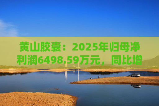 黄山胶囊：2025年归母净利润6498.59万元，同比增长31.94%