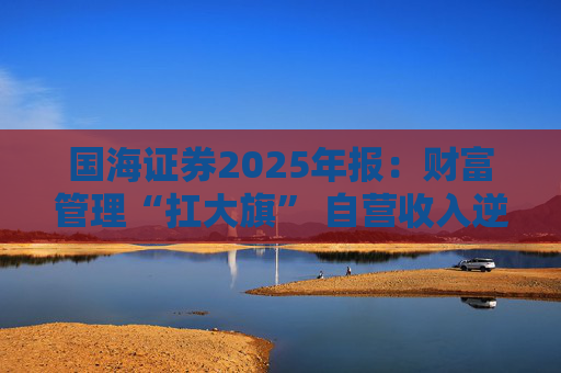 国海证券2025年报：财富管理“扛大旗” 自营收入逆势大降 投行收入占比仅2%