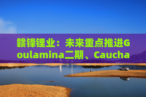 赣锋锂业:未来重点推进Goulamina二期、Cauchari-Olaroz二期及PPGS项目 第1张 赣锋锂业:未来重点推进Goulamina二期、Cauchari-Olaroz二期及PPGS项目 第1张