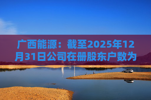 广西能源：截至2025年12月31日公司在册股东户数为53413户
