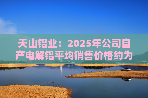 天山铝业:2025年公司自产电解铝平均销售价格约为20600元/吨 第1张 天山铝业:2025年公司自产电解铝平均销售价格约为20600元/吨 第1张