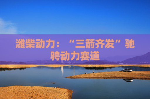 潍柴动力:“三箭齐发”驰骋动力赛道