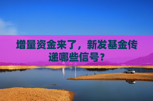 增量资金来了，新发基金传递哪些信号？  第1张