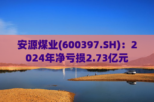 安源煤业(600397.SH)：2024年净亏损2.73亿元