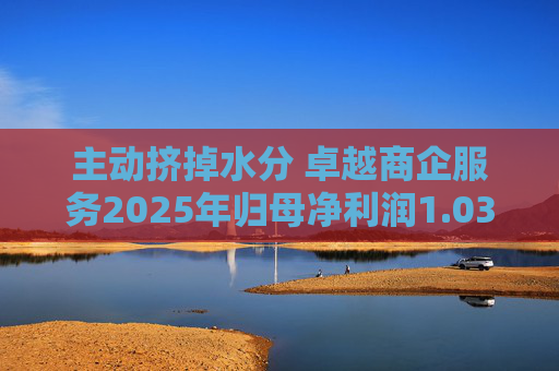 主动挤掉水分 卓越商企服务2025年归母净利润1.03亿元 第1张 主动挤掉水分 卓越商企服务2025年归母净利润1.03亿元 第1张