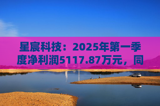 星宸科技：2025年第一季度净利润5117.87万元，同比增长0.48%