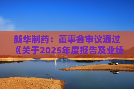 新华制药：董事会审议通过《关于2025年度报告及业绩公告的议案》等多项议案