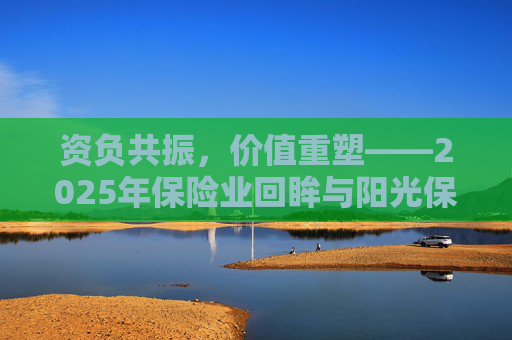 资负共振，价值重塑――2025年保险业回眸与阳光保险样本