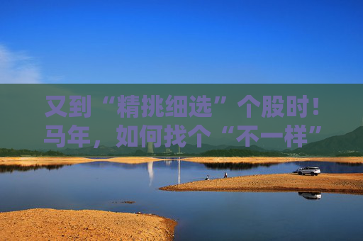 又到“精挑细选”个股时！马年，如何找个“不一样”的基金管理人替你出赛？