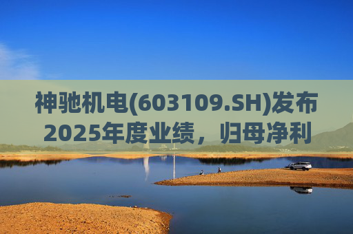 神驰机电(603109.SH)发布2025年度业绩，归母净利润1.34亿元，同比下降30.94%