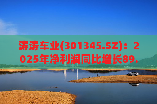 涛涛车业(301345.SZ)：2025年净利润同比增长89.29% 拟10派15元