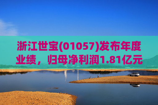 浙江世宝(01057)发布年度业绩，归母净利润1.81亿元 同比增加21.05%