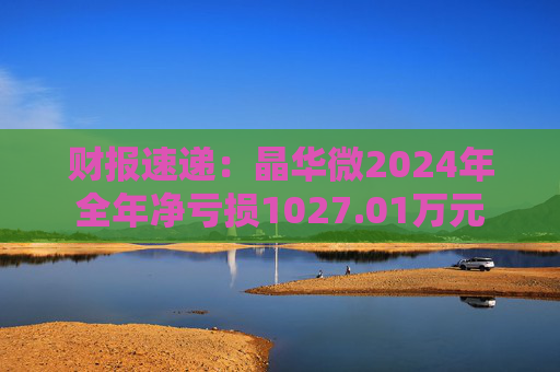 财报速递：晶华微2024年全年净亏损1027.01万元