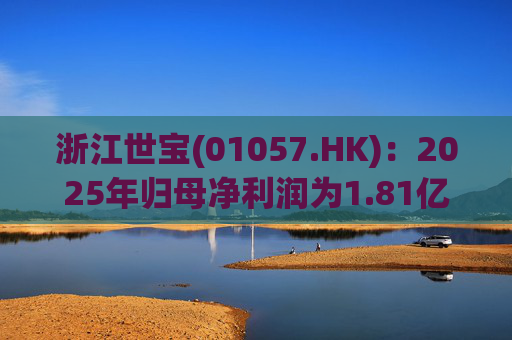 浙江世宝(01057.HK):2025年归母净利润为1.81亿元 同比增加21.05% 第1张 浙江世宝(01057.HK):2025年归母净利润为1.81亿元 同比增加21.05% 第1张