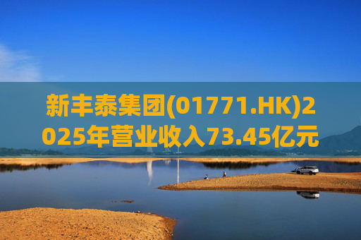 新丰泰集团(01771.HK)2025年营业收入73.45亿元，同比下降14.7%