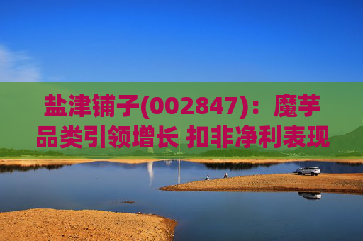 盐津铺子(002847)：魔芋品类引领增长 扣非净利表现亮眼