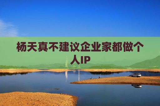 杨天真不建议企业家都做个人IP