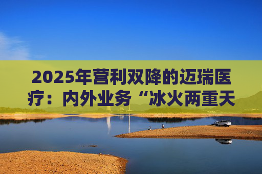 2025年营利双降的迈瑞医疗：内外业务“冰火两重天”