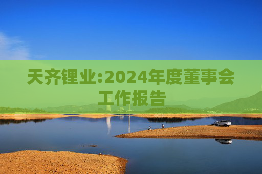 天齐锂业:2024年度董事会工作报告  第1张
