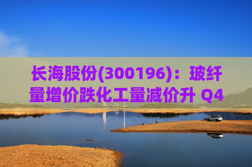 长海股份(300196)：玻纤量增价跌化工量减价升 Q4业绩同比显著修复