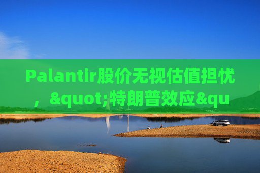 Palantir股价无视估值担忧，"特朗普效应"压倒空头  第1张