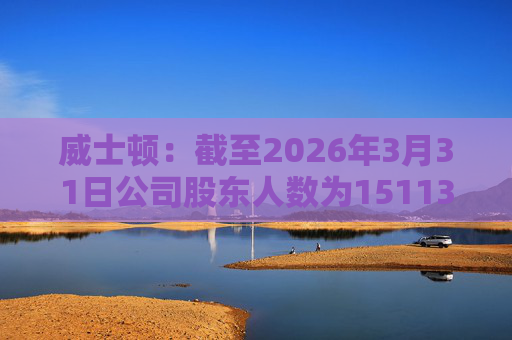 威士顿：截至2026年3月31日公司股东人数为15113户  第1张