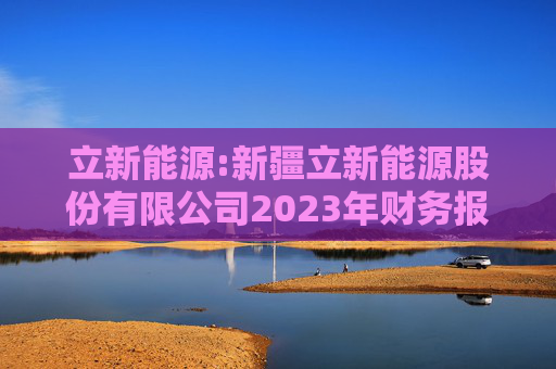 立新能源:新疆立新能源股份有限公司2023年财务报表审计报告书