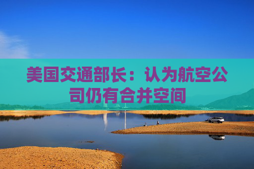 美国交通部长：认为航空公司仍有合并空间
