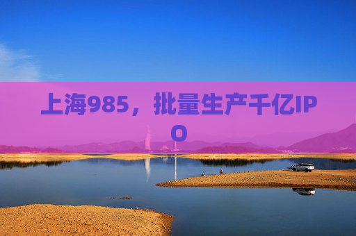 上海985，批量生产千亿IPO