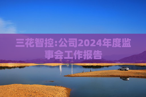 三花智控:公司2024年度监事会工作报告  第1张