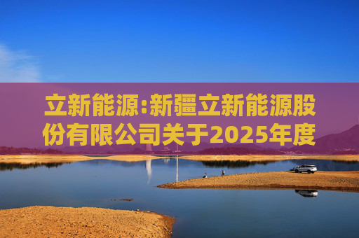 立新能源:新疆立新能源股份有限公司关于2025年度日常关联交易预计的公告  第1张