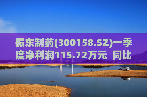 振东制药(300158.SZ)一季度净利润115.72万元  同比减少94.99% 第1张