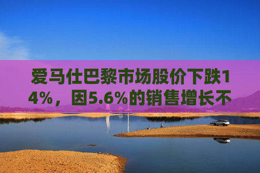 爱马仕巴黎市场股价下跌14%，因5.6%的销售增长不及预期