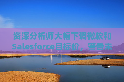 资深分析师大幅下调微软和Salesforce目标价，警告未来一年将"艰难"