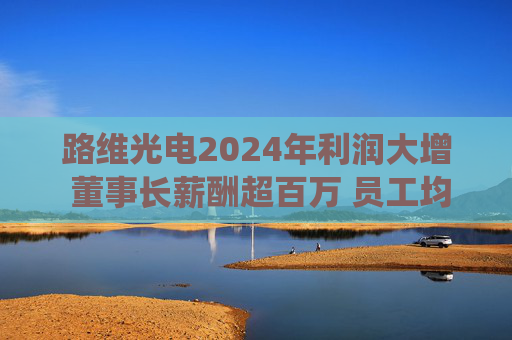 路维光电2024年利润大增 董事长薪酬超百万 员工均薪亦涨