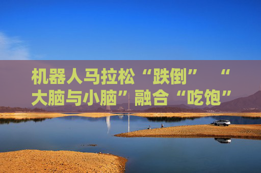 机器人马拉松“跌倒” “大脑与小脑”融合“吃饱” 第1张 机器人马拉松“跌倒” “大脑与小脑”融合“吃饱” 第1张