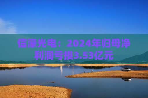 信濠光电：2024年归母净利润亏损3.53亿元  第1张