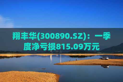 翔丰华(300890.SZ)：一季度净亏损815.09万元  第1张