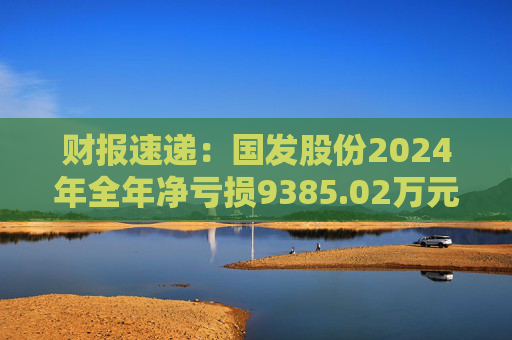 财报速递:国发股份2024年全年净亏损9385.02万元