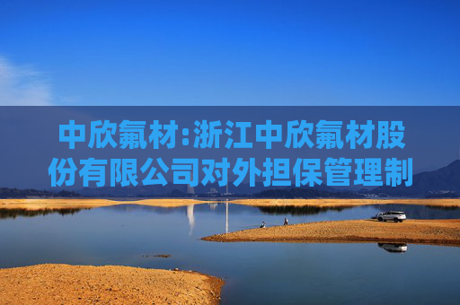 中欣氟材:浙江中欣氟材股份有限公司对外担保管理制度