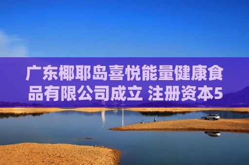 广东椰耶岛喜悦能量健康食品有限公司成立 注册资本500万人民币