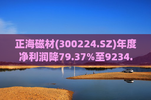 正海磁材(300224.SZ)年度净利润降79.37%至9234.02万元 高性能钕铁硼永磁材料销量实现连续七年增长