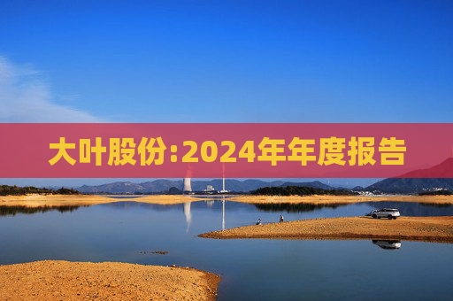 大叶股份:2024年年度报告