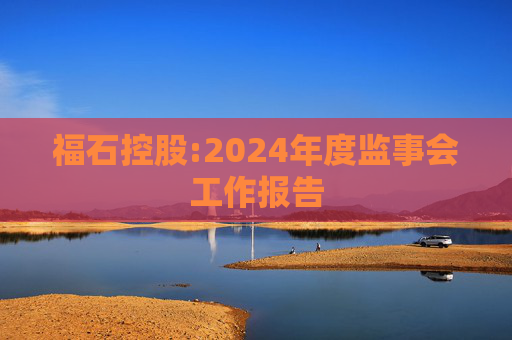 福石控股:2024年度监事会工作报告  第1张